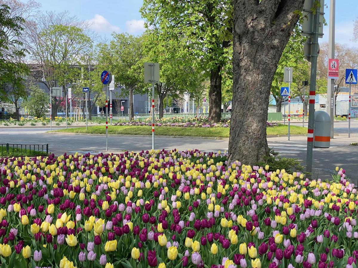 Magic Vienna Right Next To The Prater!公寓 外观 照片